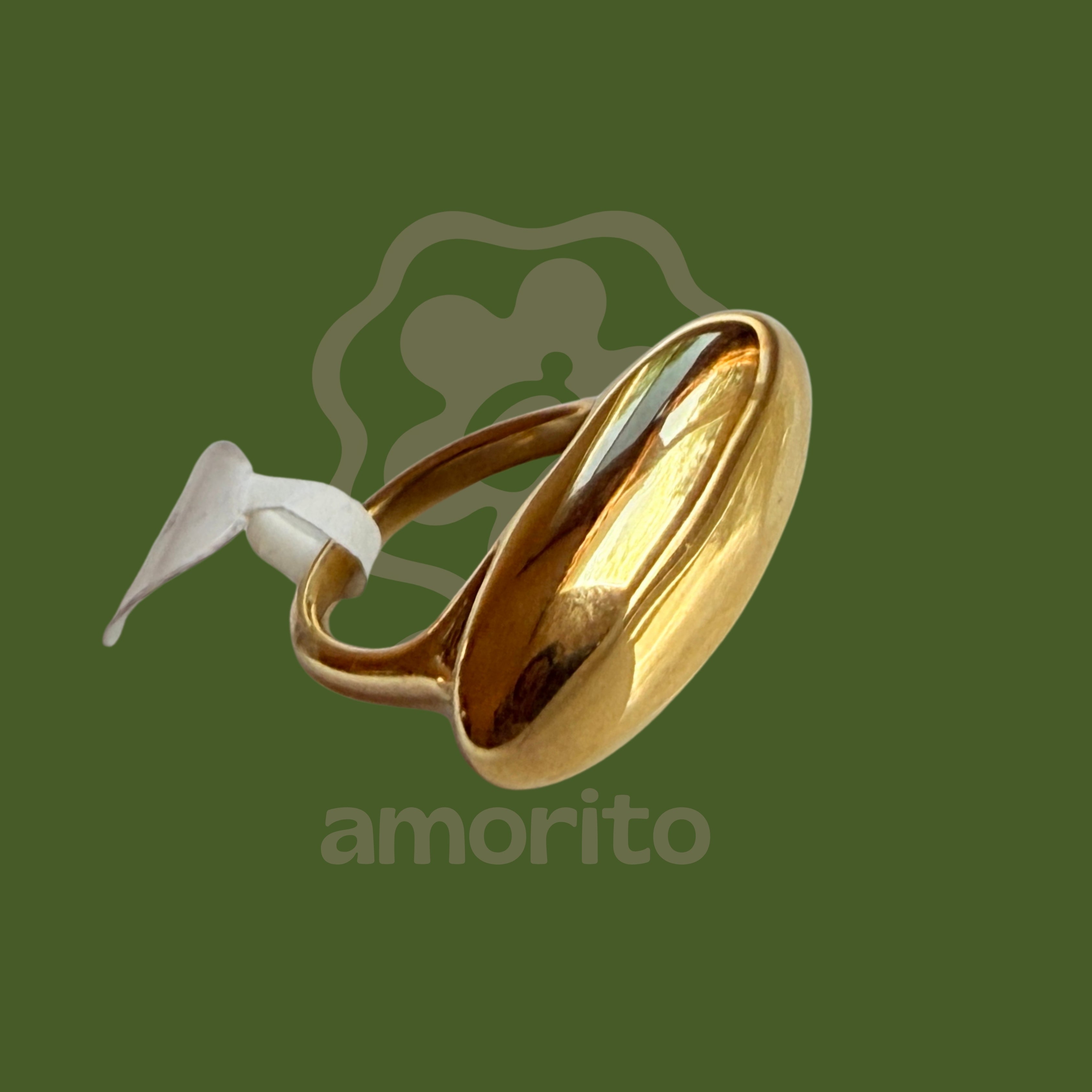 ANILLO KARIM